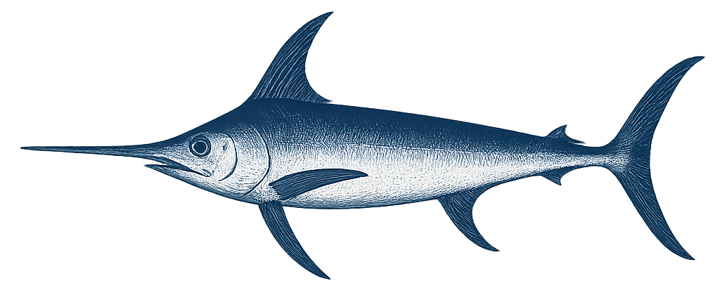 icono-swordfish