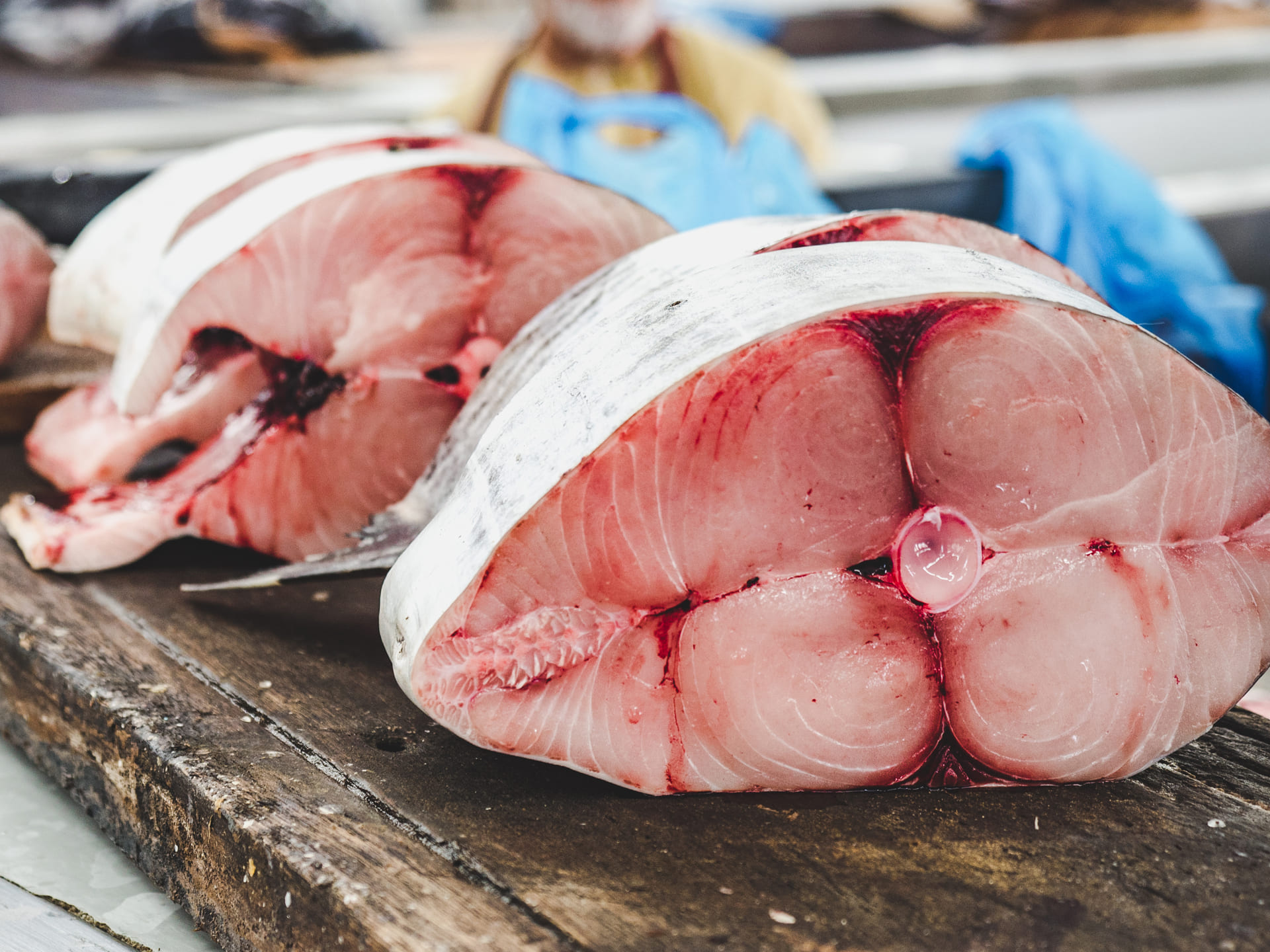 swordfish-iStock-1284739660