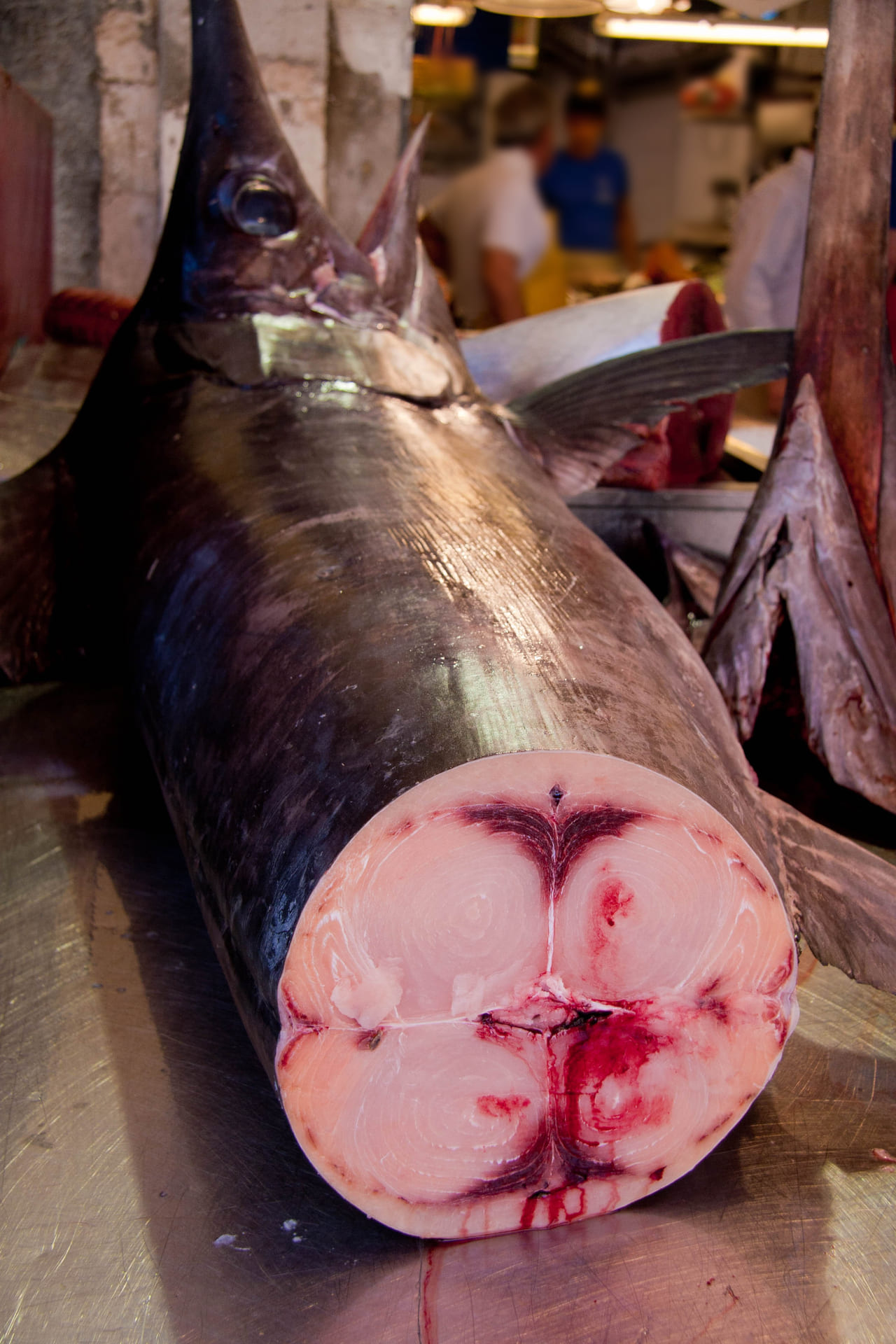 swordfish-iStock-183314920